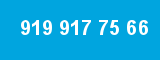 919 917 75 66 919 917 75 66